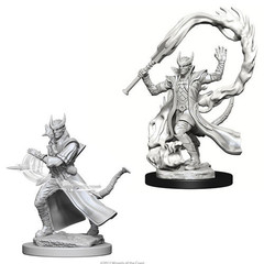 D&D Nolzur's Marvelous Miniatures - Male Tiefling Sorcerer