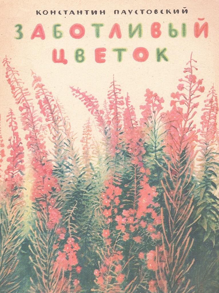 Вопросы заботливый цветок. Заботливый цветок Паустовский. Заботливый цветок план. Герои заботливого цветка Паустовский. Иллюстрация по произведению заботливый цветок.