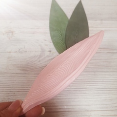 Тюльпан МЛ35