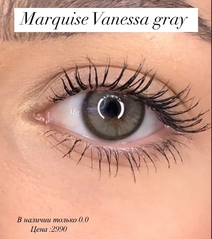 Светло серые линзы Marquise Vanessa gray/ Для темных и светлых глаз / 12 месяцев / Светло серые цветные линзы с окантовкой