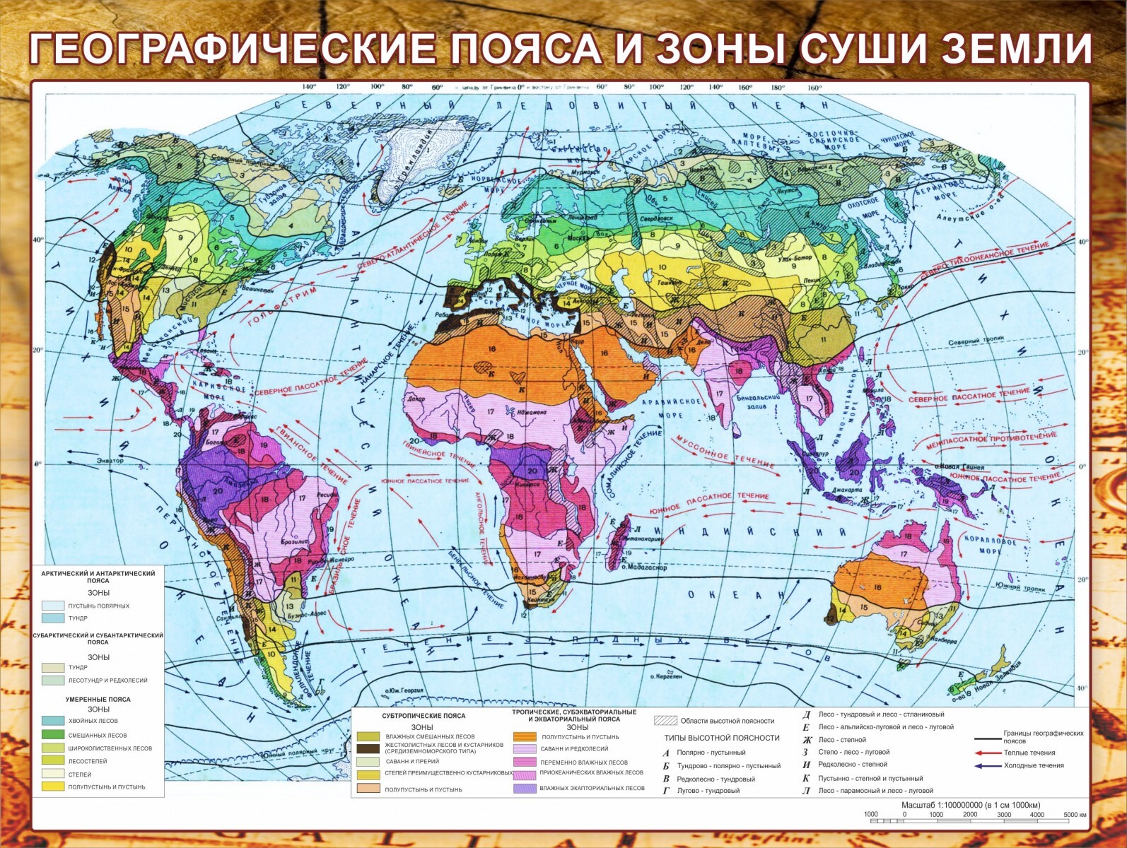 Природные зоны география 6 класс картинки