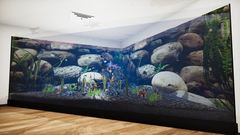 Aquatic Store Simulator (для ПК, цифровой код доступа)