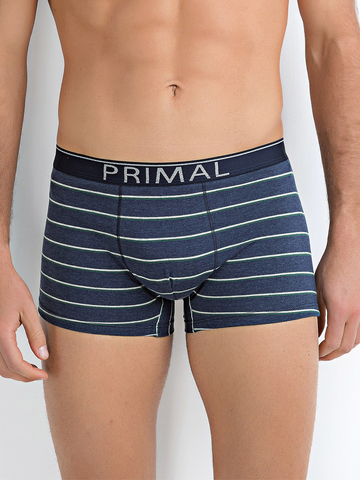 Мужские трусы B229 Boxer Primal