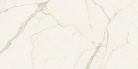 Atlas Concorde Marvel Calacatta Extra Bookmatch A Lap 120x278