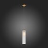 Светильник подвесной ST Luce Callana SL1145.353.01