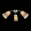 Светильник потолочный Evoluce Maleonte SLE103002-03