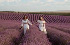 Фотодень "Воздушные шары & Лаванда"