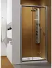 Radaway 33304-01-01N Premium Plus DWJ 95