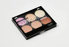 LavelleCollection Набор консилеров Совершенное лицо №2 CFF-01