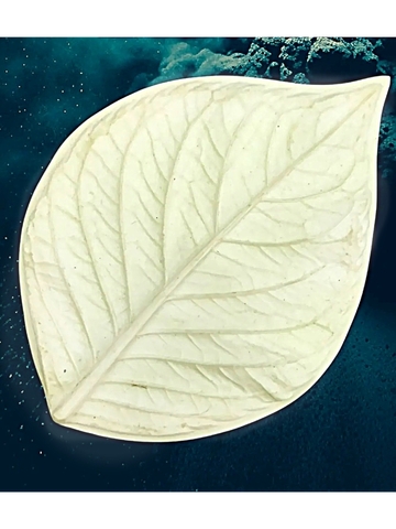 Молд лист универсальный 14,6х10,6см