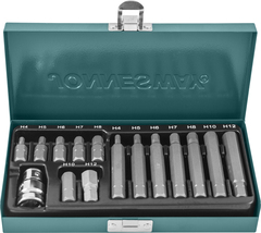 Jonnesway S29H4115S Набор вставок-бит 10 мм DR шестигранных с переходником, 15 предметов 47396