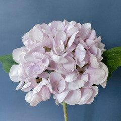 Гортензия искусственная, БЛЕДНО-ФИОЛЕТОВАЯ, реалистичная, ветка 6 соцветий, 64 см, набор 1 шт.