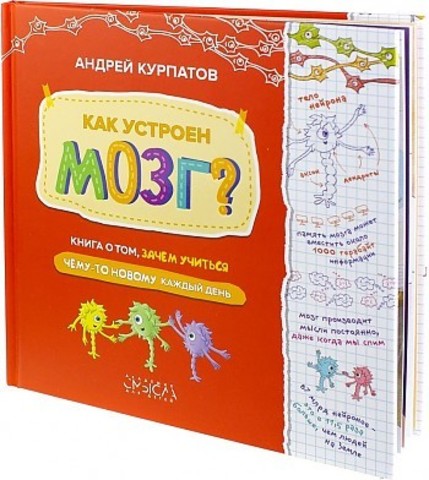 Как устроен мозг? Книга о том, зачем учиться