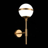 Светильник настенный ST Luce Arbe SL1157.301.01
