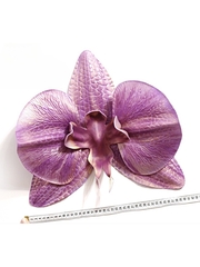 Молд пластиковый Лепесток орхидеи (петалия)