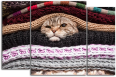 Модульная картина "Кот в тепле"