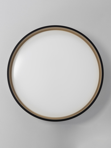 Потолочный светодиодный светильник Citilux Enzo CL753451G