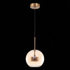 Светильник подвесной ST Luce Bopone SL1133.333.01