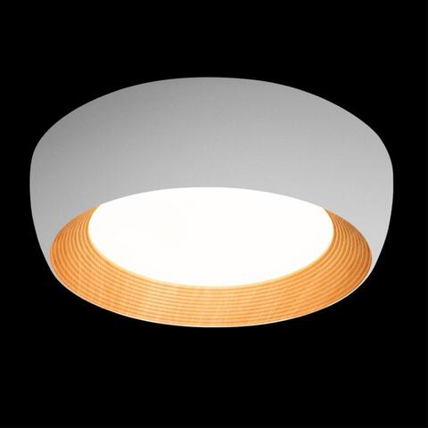 Потолочный светодиодный светильник Loft It Folk 10255/500 White