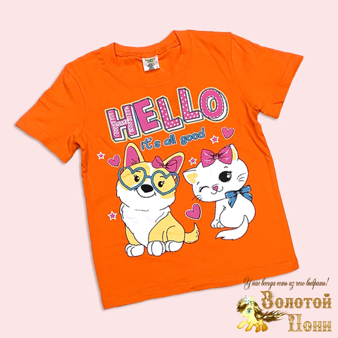 Футболка хлопок д (5-8) 251108-A1370