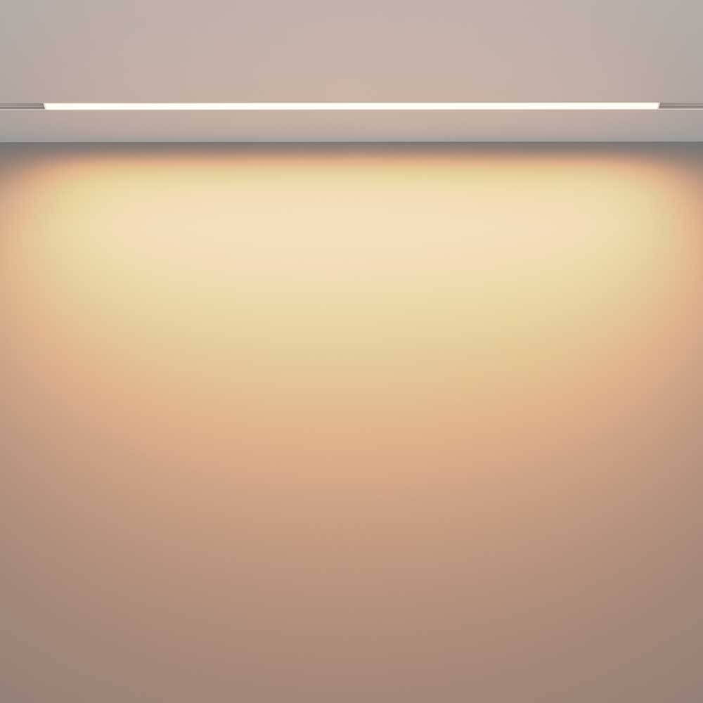 Трековый светодиодный светильник Maytoni Technical Exility Basis TR030-2-30W3K-W