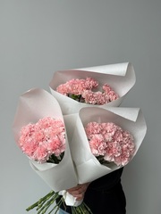 Охапка диантусов в розовом оттенке 10 шт