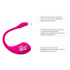 Виброяйцо с приложением для пар Lovense 