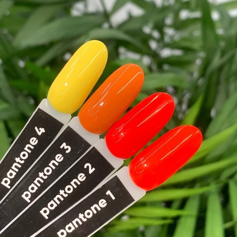 Гель - лак Holy Molly  PANTONE №02 11ml