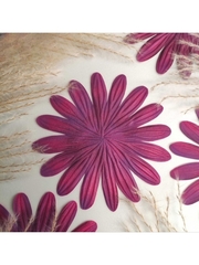 Молд пластиковый Б-20 лепестки универсальные