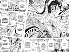One Piece. Большой куш. Книга 22