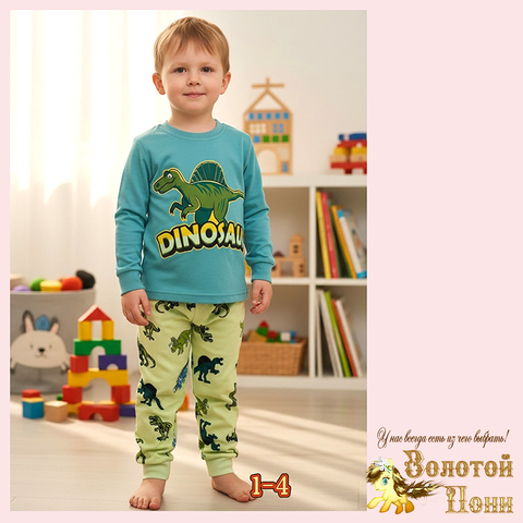 Пижама хлопок м (1-4) 251204-W2016