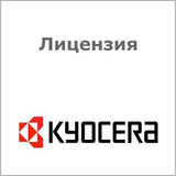 Лицензия Kyocera UG-41