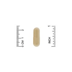 California Gold Nutrition, Fungiology, комплекс с кордицепсом, 90 капсул Plantcap