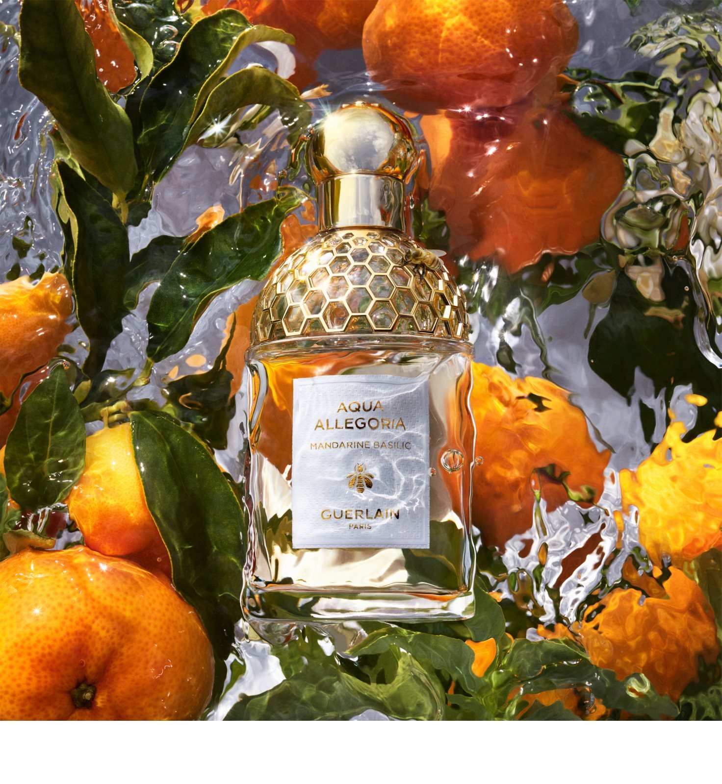 GUERLAIN Aqua Allegoria Mandarine Basilic Туалетная вода для женщин купить  в Москве | Доставка по России.