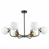 Светильник потолочный Evoluce Ciane SLE1098-402-06