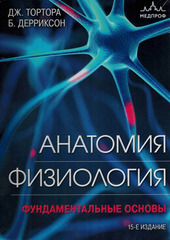 Анатомия. Физиология. Фундаментальные основы. 15-е издание