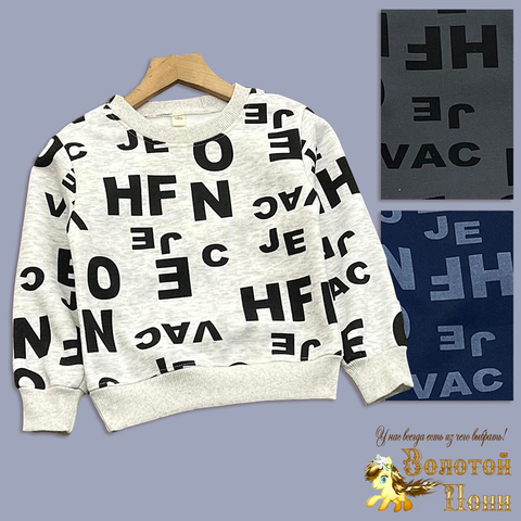 Свитшот хл/начес м (3-7) 250830-DN123