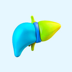 Синдром Жильбера