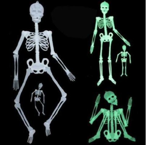 Скелет человека светящийся на Хэллоуин