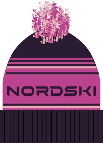 Шапка Nordski Stripe Violet