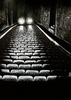 Noir Movie