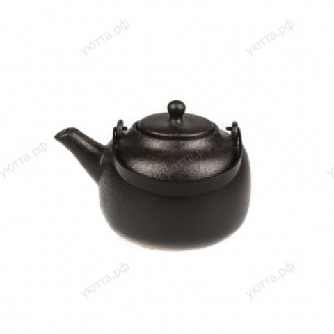 Чайник с ситечком Proff Cuisine 