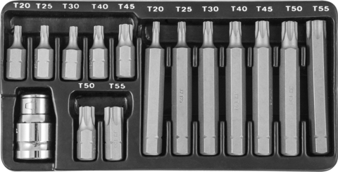 Jonnesway S29H4215S Набор вставок-бит 10 мм DR TORX® с переходниками, 15 предметов 47397