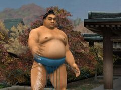 Nihon Sumo Kyokai Kounin: Nihon Oozumou Gekitou Honbashohen (Playstation 2)