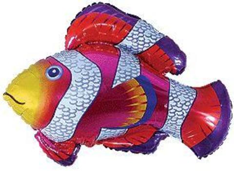 F Мини-фигура, Рыбка-Клоун, 14