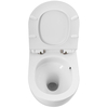 Унитаз подвесной безободковый со смывом TORNADO BelBagno SFERA-TOR BB046CH-TOR