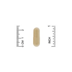 California Gold Nutrition, Fungiology, трутовик разноцветный (различные органы), 90 капсул Plantcap