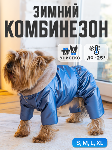 Royal Dog зимний костюм Мажор L