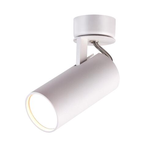Потолочный светильник Odeon Light Kiko 3873/1C