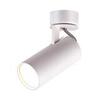 Потолочный светильник Odeon Light Kiko 3873/1C